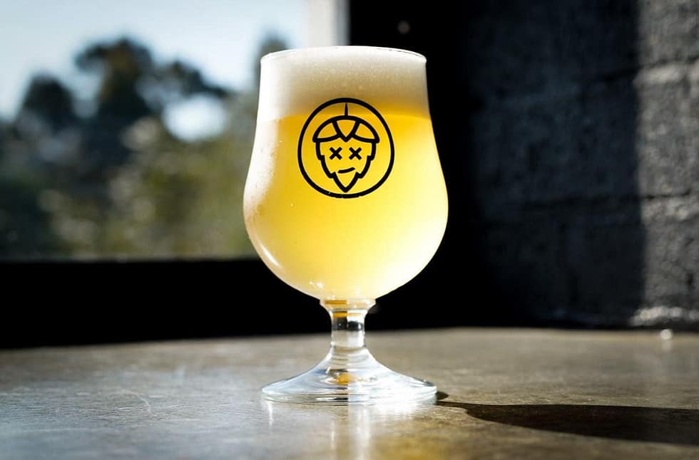 Beer Tasting Margaret River A Beginner’s Guide The MREWA